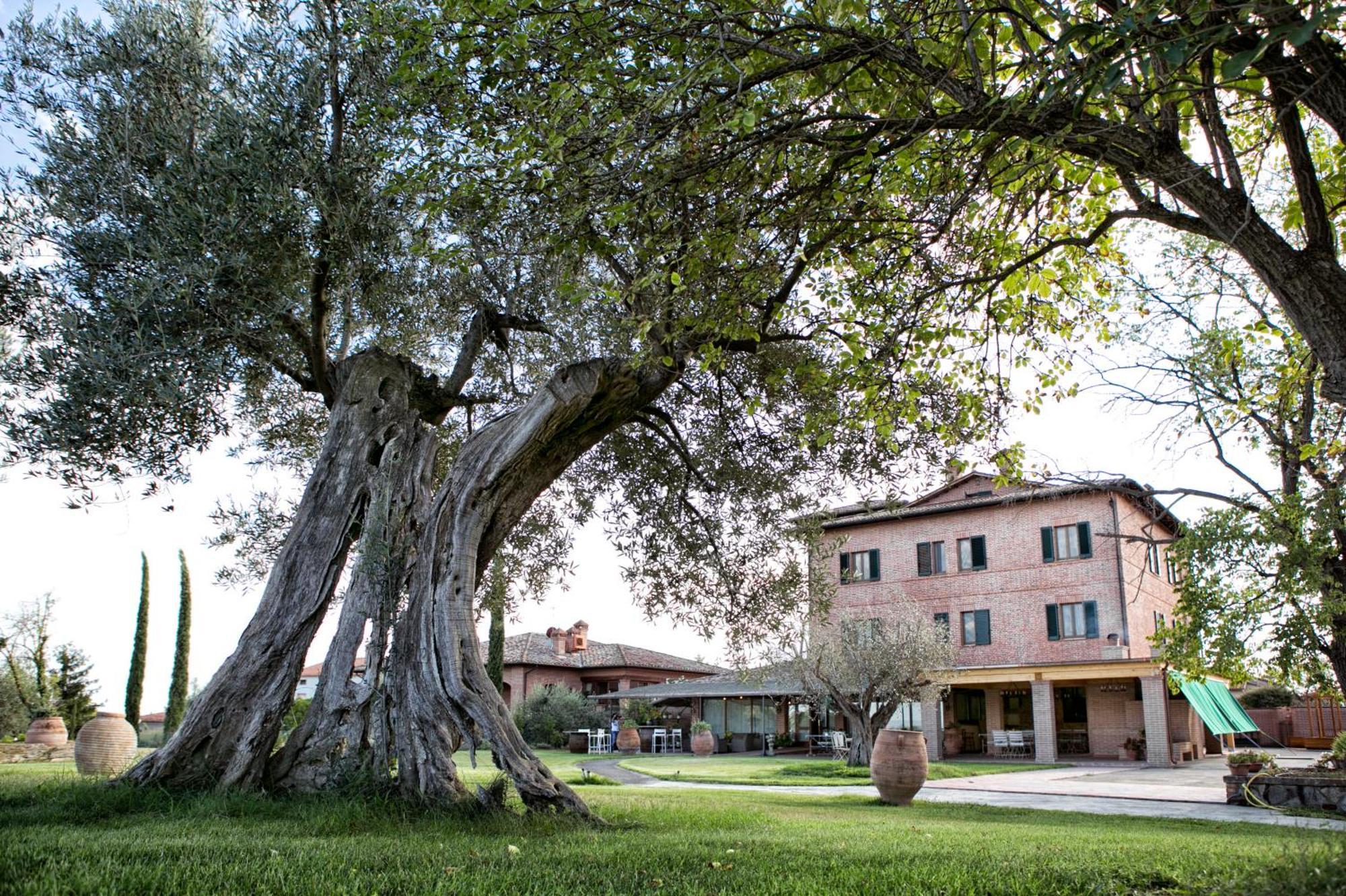 Locanda Poggioleone Castiglione del Lago Εξωτερικό φωτογραφία